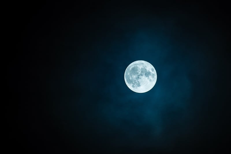 Moonlit Picnic